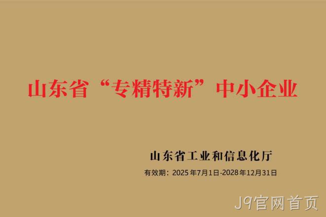 山东省专精特新中小企业.